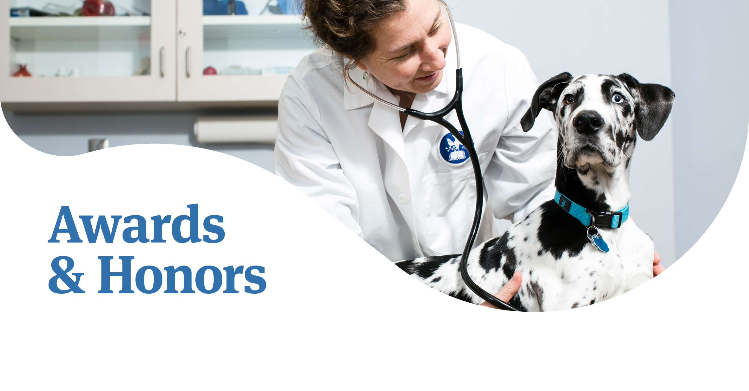 Female veterinarian with Dalmatian dog. Words below the image: "Awards & Honors."