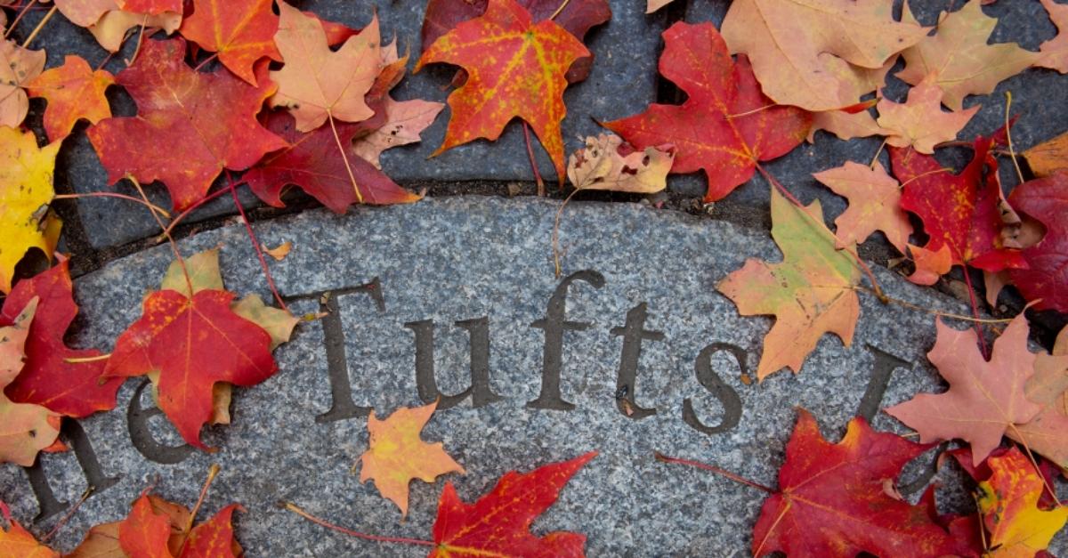 Photo of autumn leaves on stone reading "Tufts"