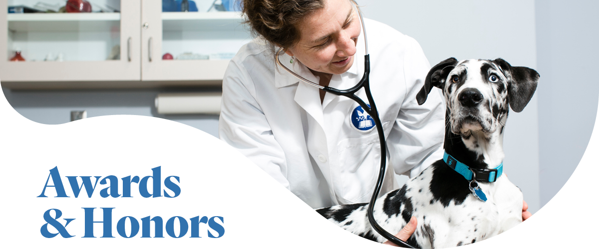 A veterinarian at Cummings School of Veterinary Medicine at Tufts University taking the heartbeat of a dalmatian overlayed with the text "Awards and Honors."